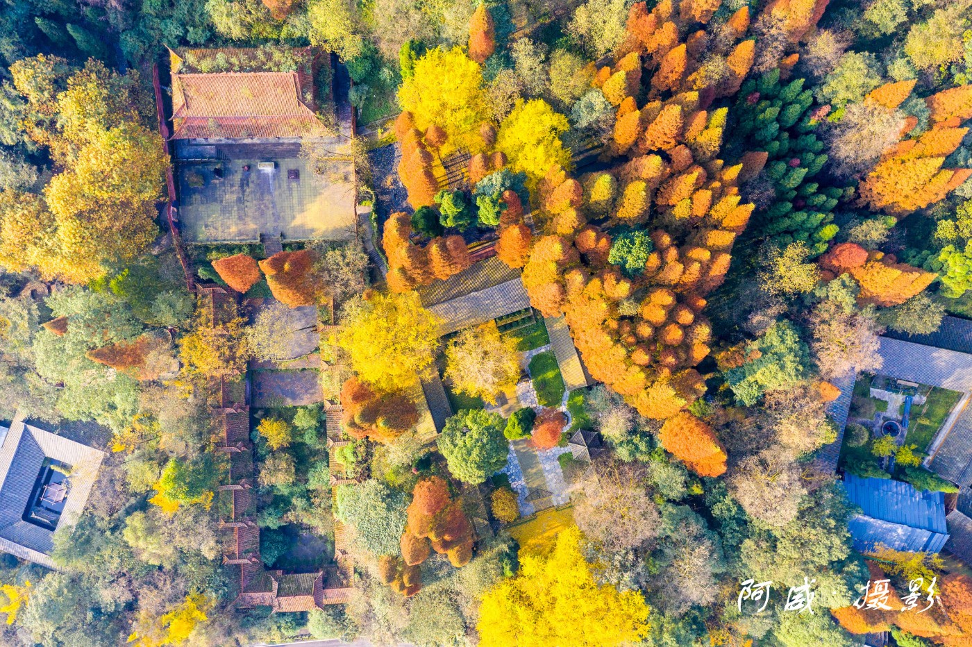 DJI_0611-1-1.jpg