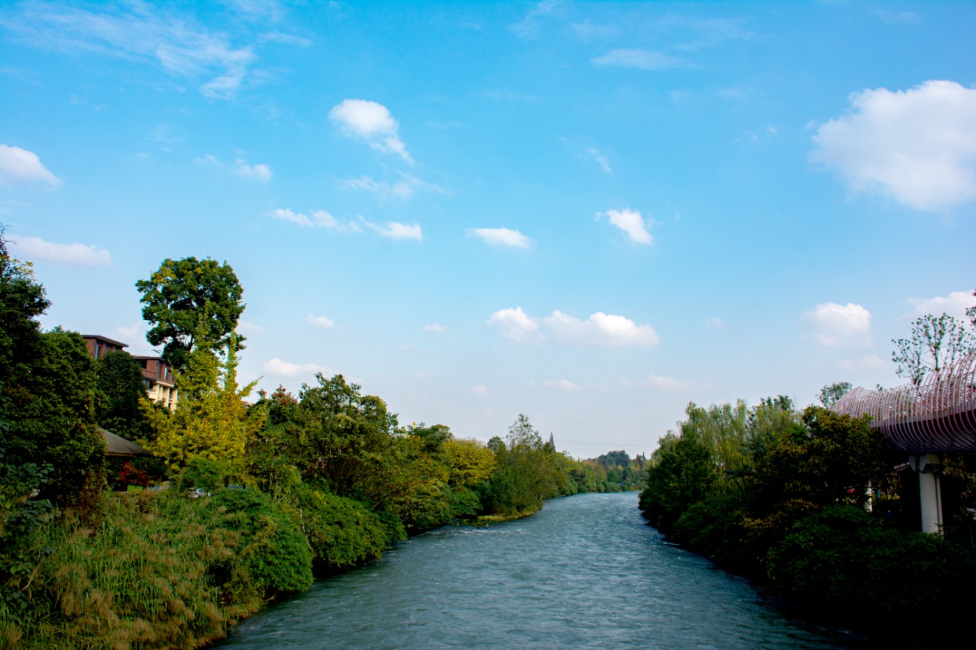 DSC_2144.jpg