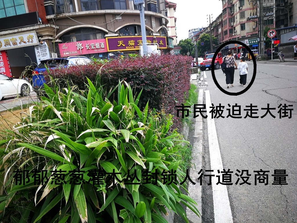 IMG_20210829_173517.jpg