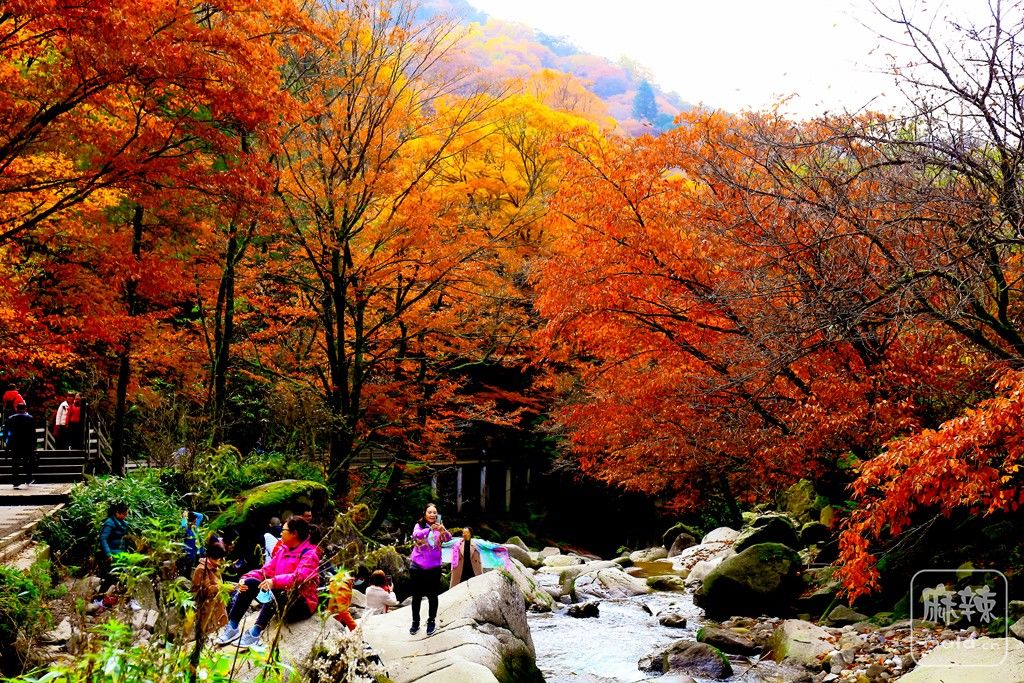 HU5A0018-ָ.jpg