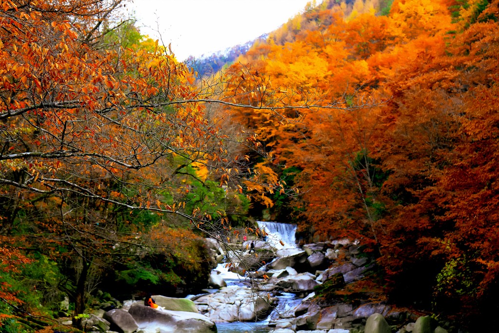 HU5A0042-ָ.jpg