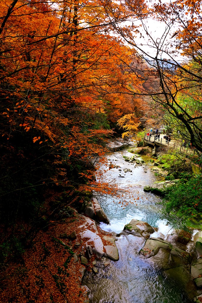 HU5A0024-ָ.jpg