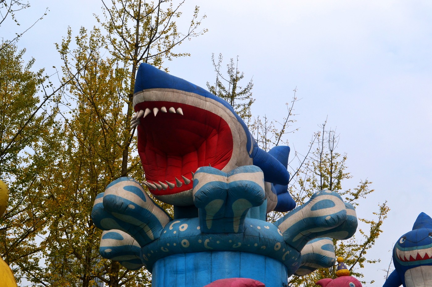DSC_6922.JPG
