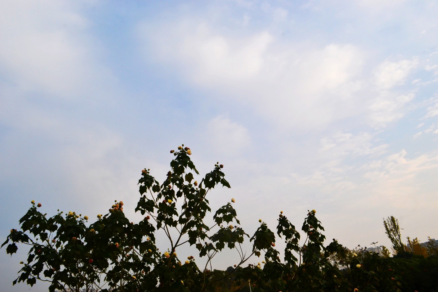 DSC_6945.JPG