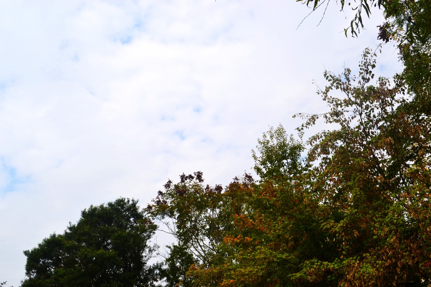 DSC_6722.JPG