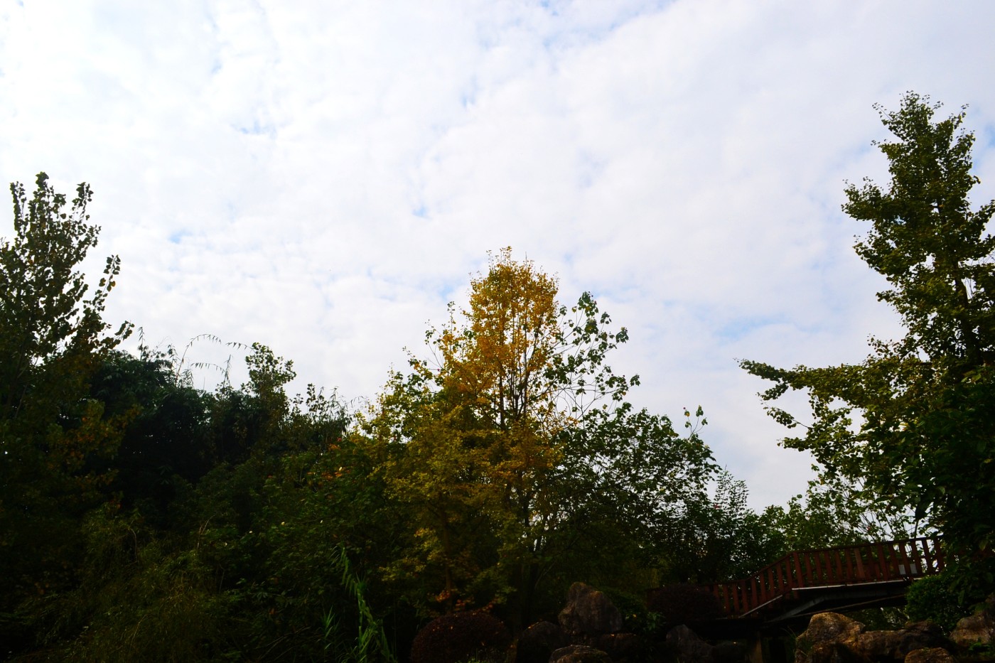 DSC_6724.JPG