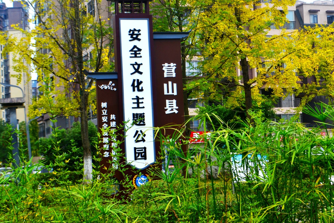 DSC_6765.JPG