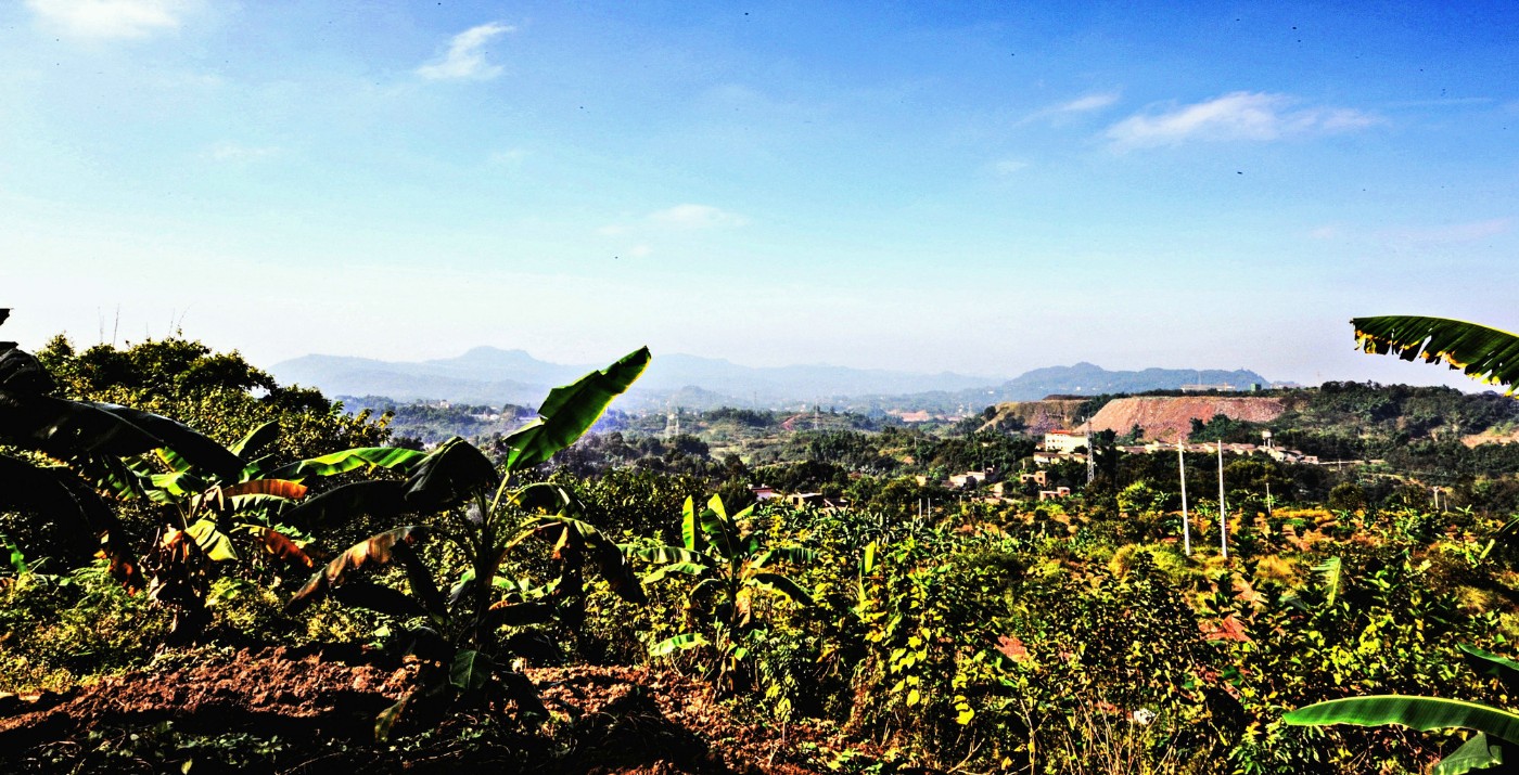 GLN_0472.jpg