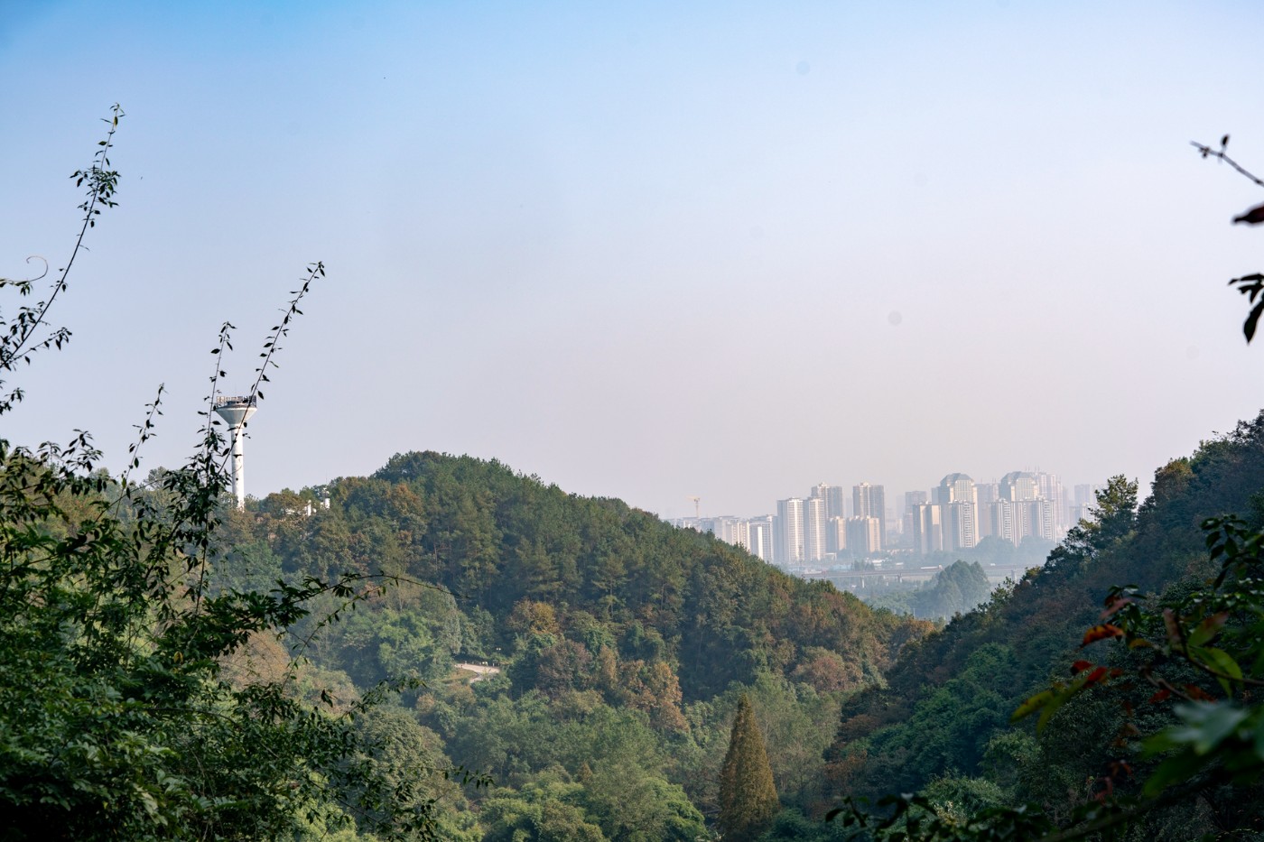 湖南白鹤山图片