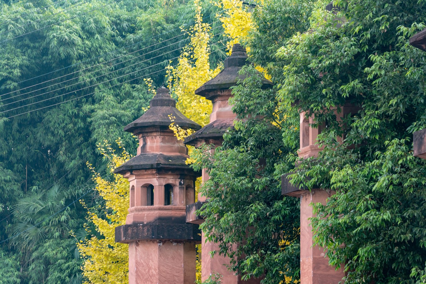 梧州白鹤山图片