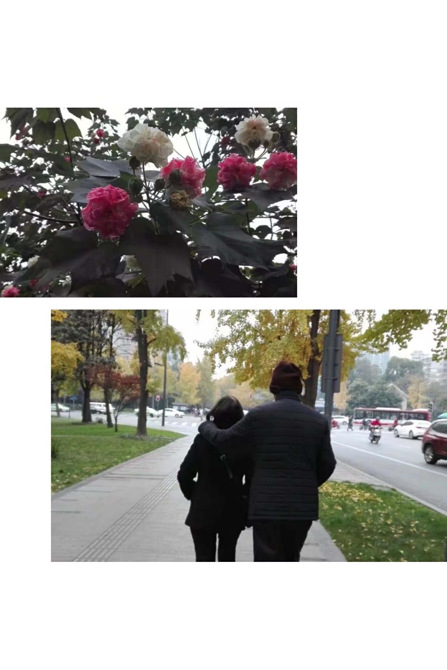 090243c94os1h5v99eguvf.jpg