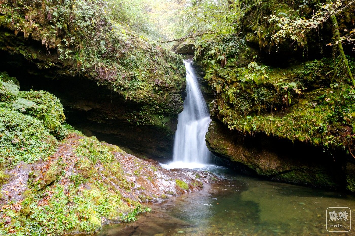 DSC_5654.jpg