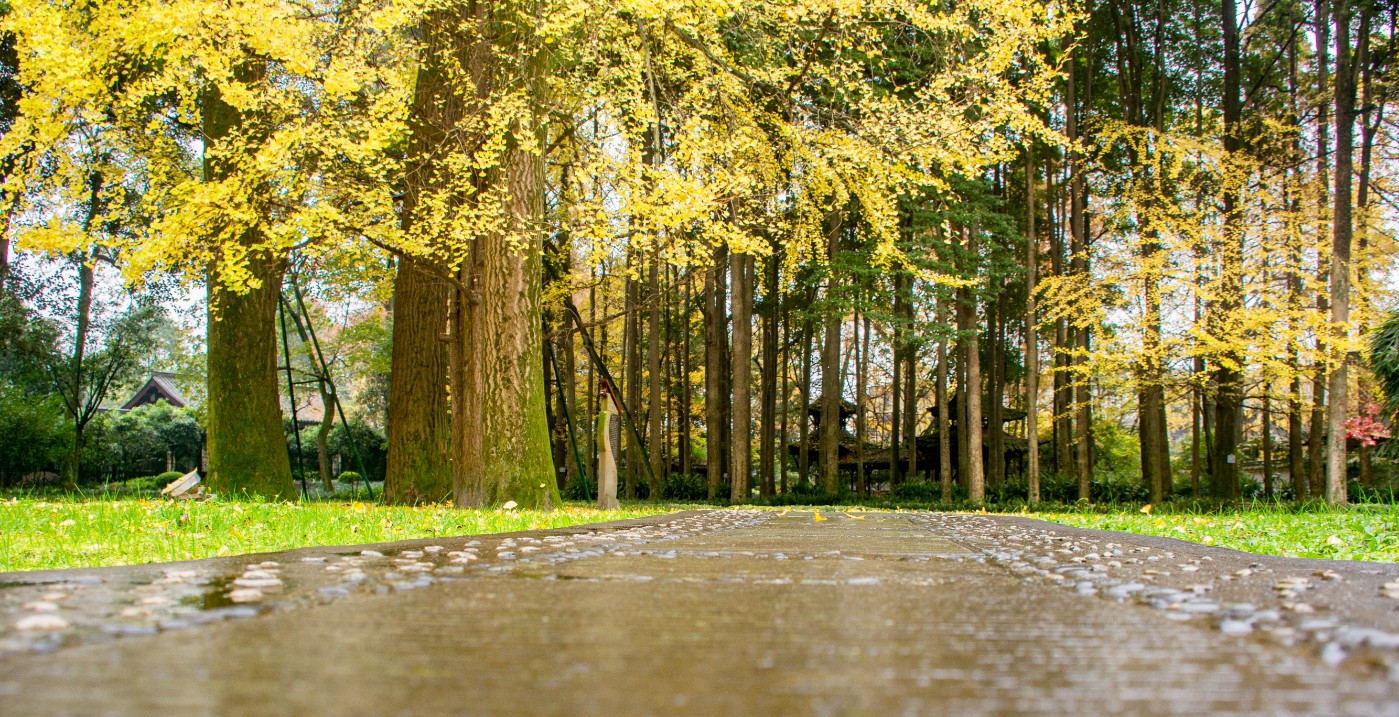 DSC_2509.JPG