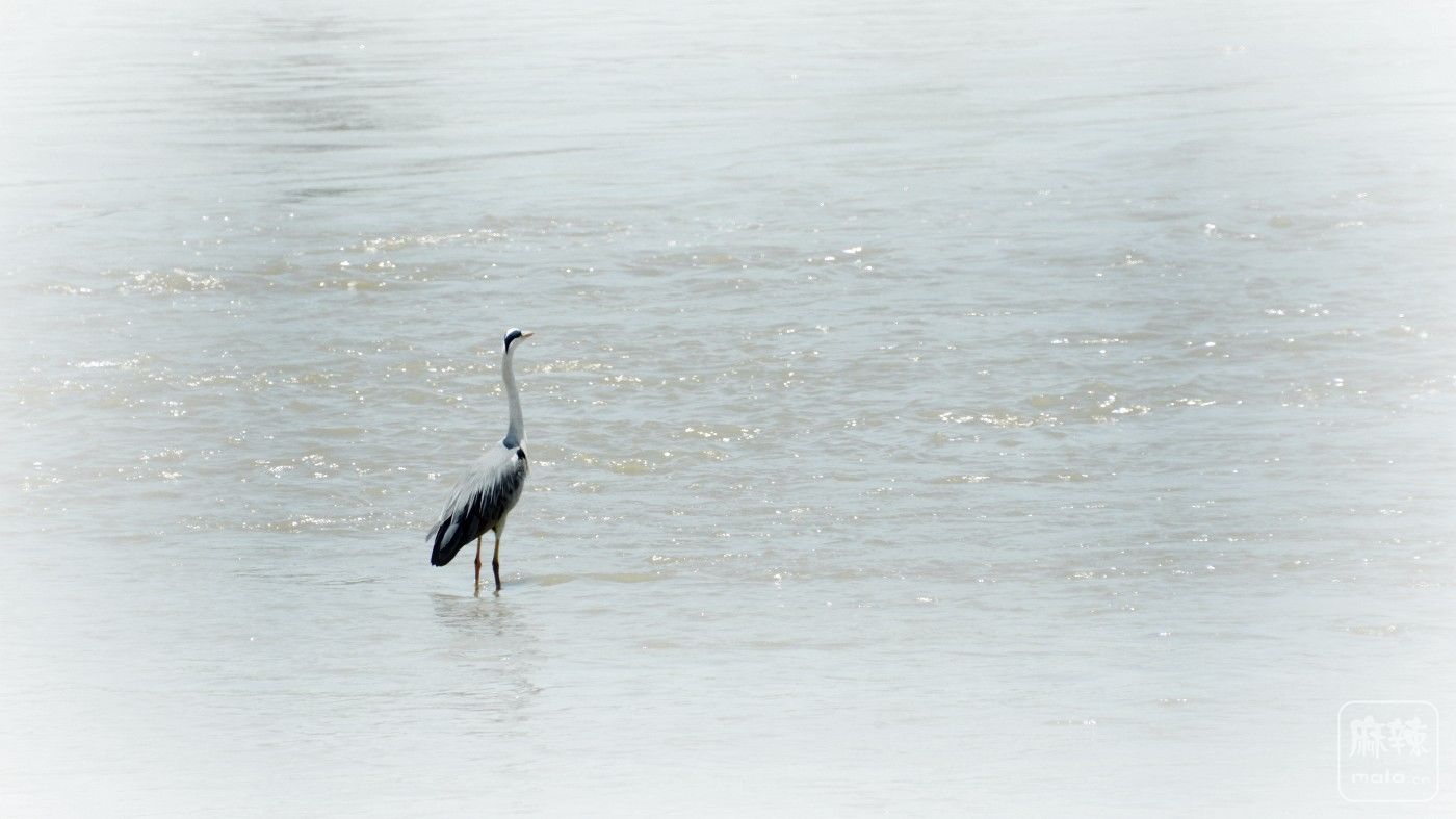 DSC_6222_.jpg