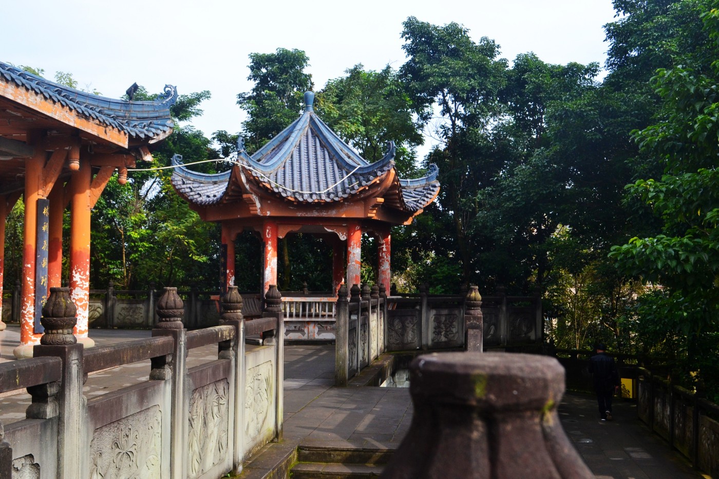 DSC_7171.JPG