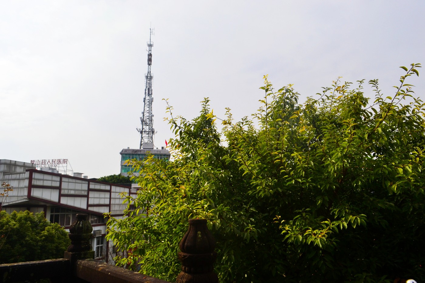 DSC_7170.JPG