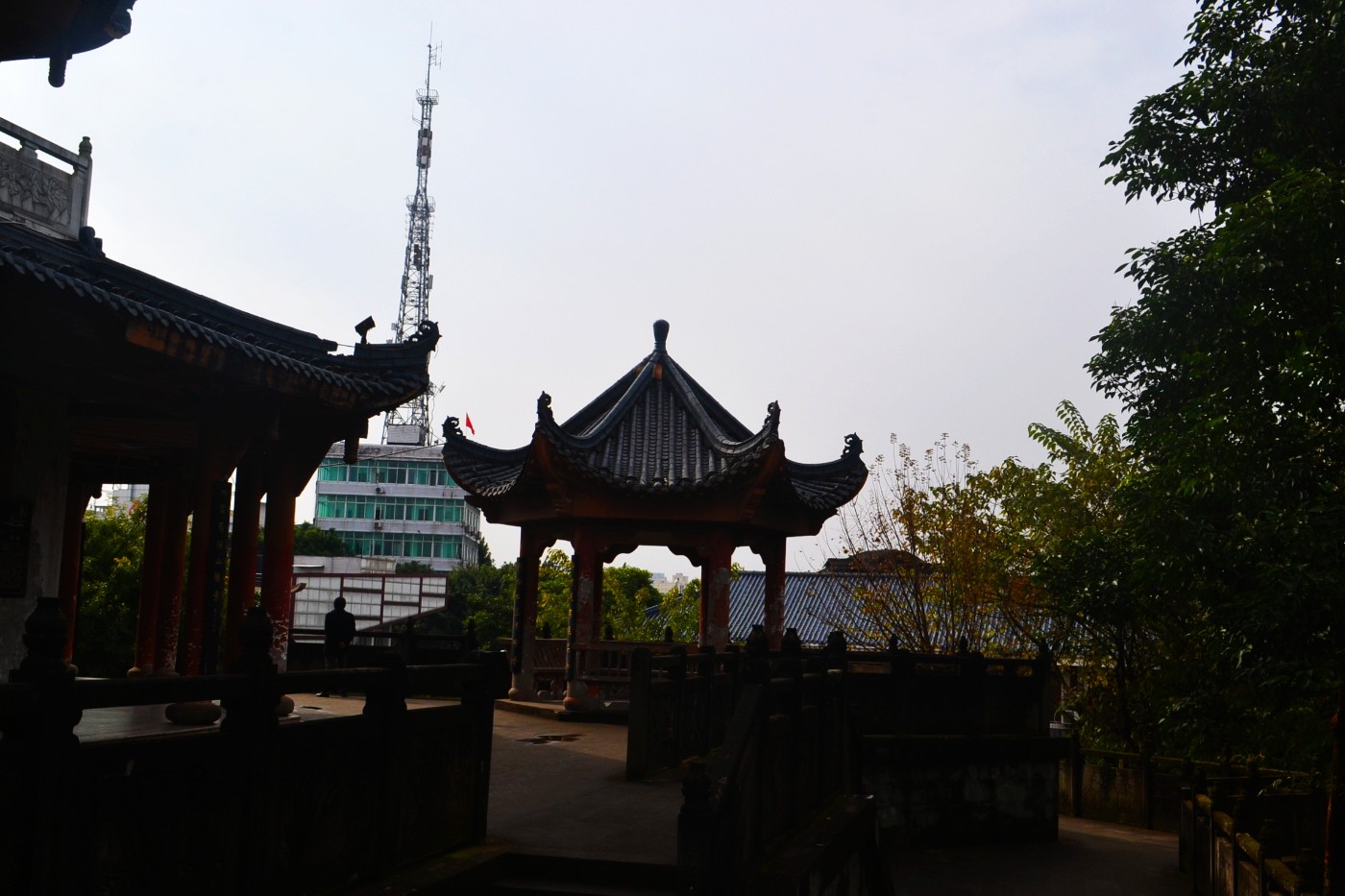 DSC_7177.JPG