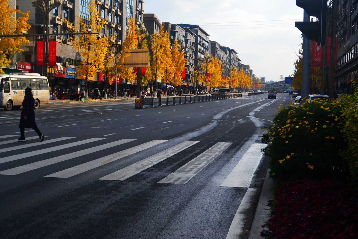 DSC_7263.JPG