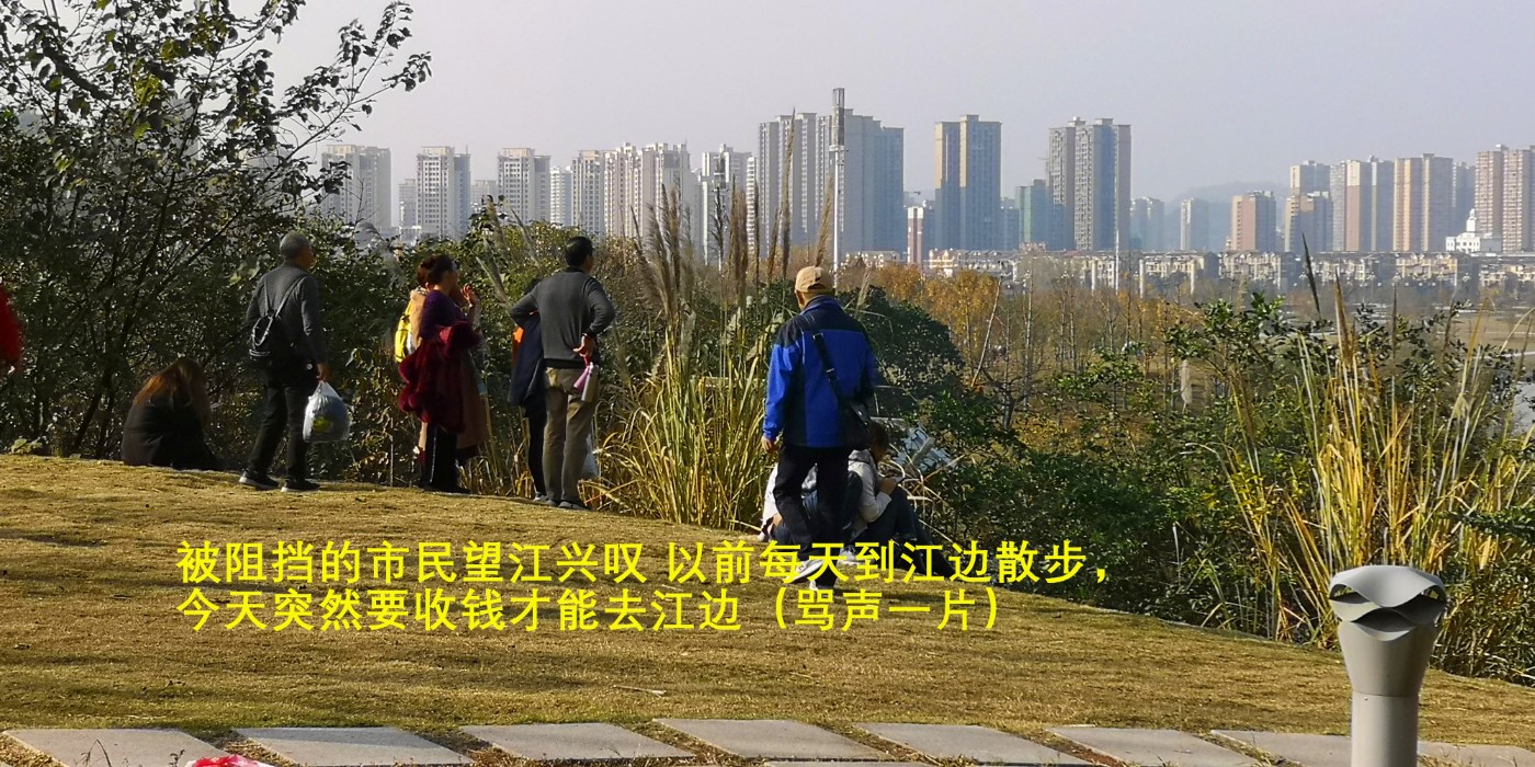IMG_20211125_152355_.jpg