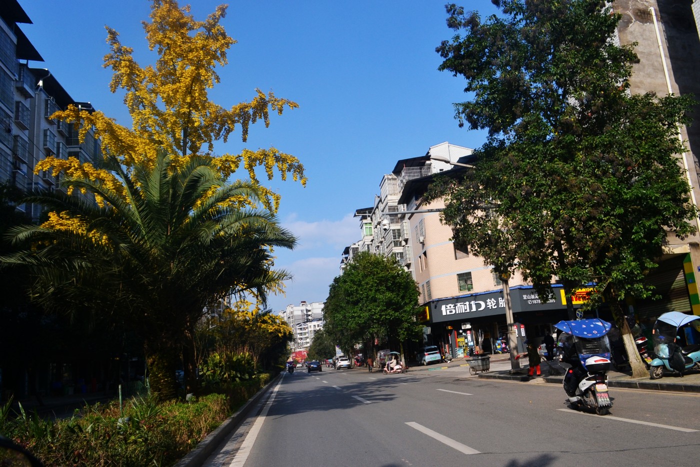 DSC_7278.JPG