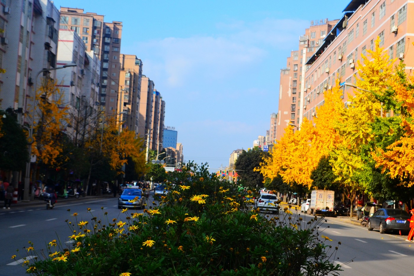 DSC_7293.JPG