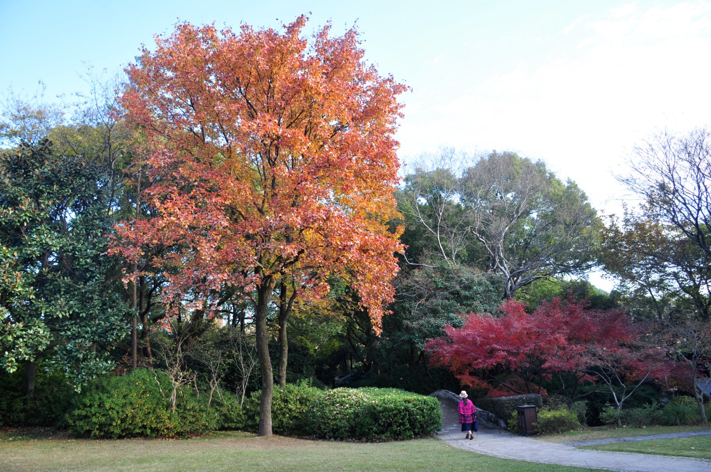 DSC_8044.JPG