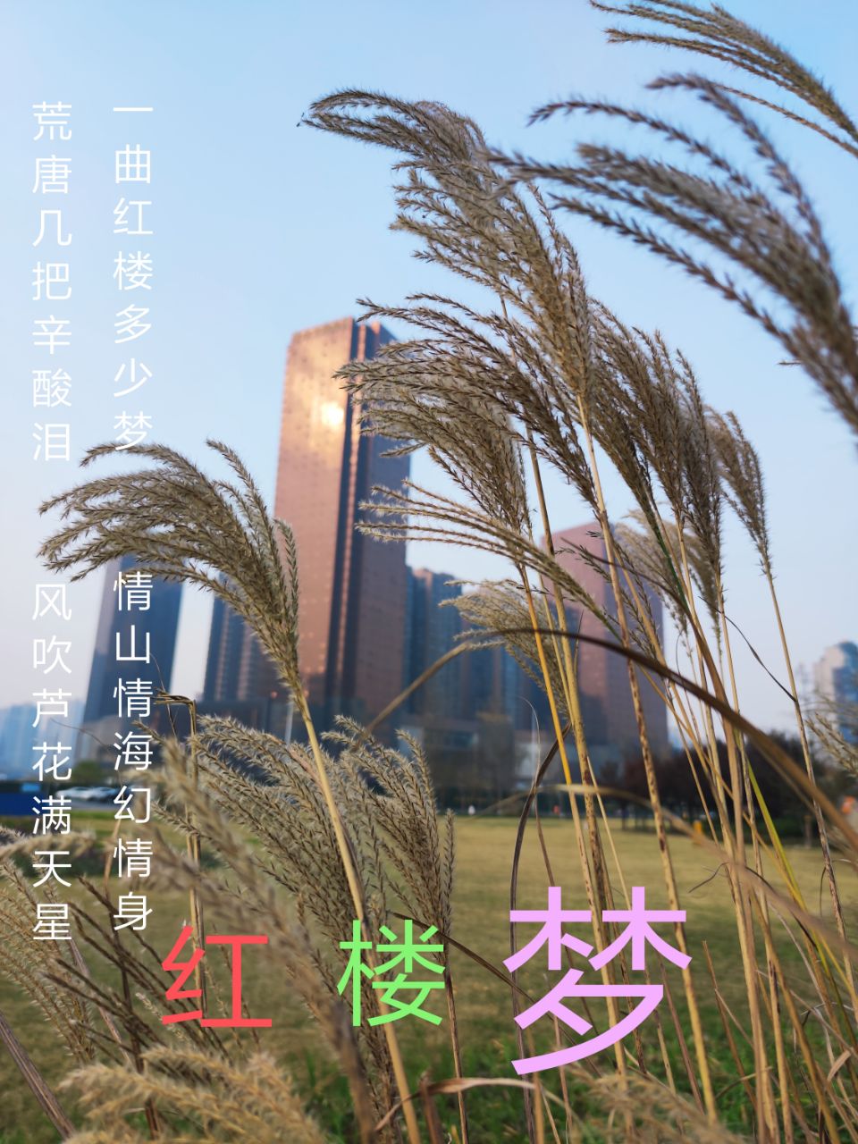 front2_0_6080161_Fq8AiLAigYoLfrwd5ymH1JQPEe9v.1638487016_07_16_57.jpg