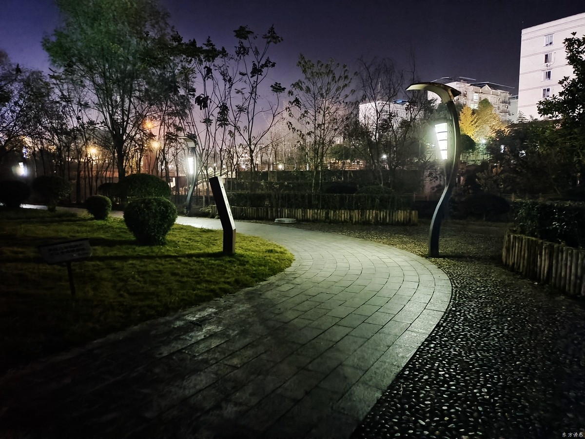 葫芦岛三角公园晚上图片
