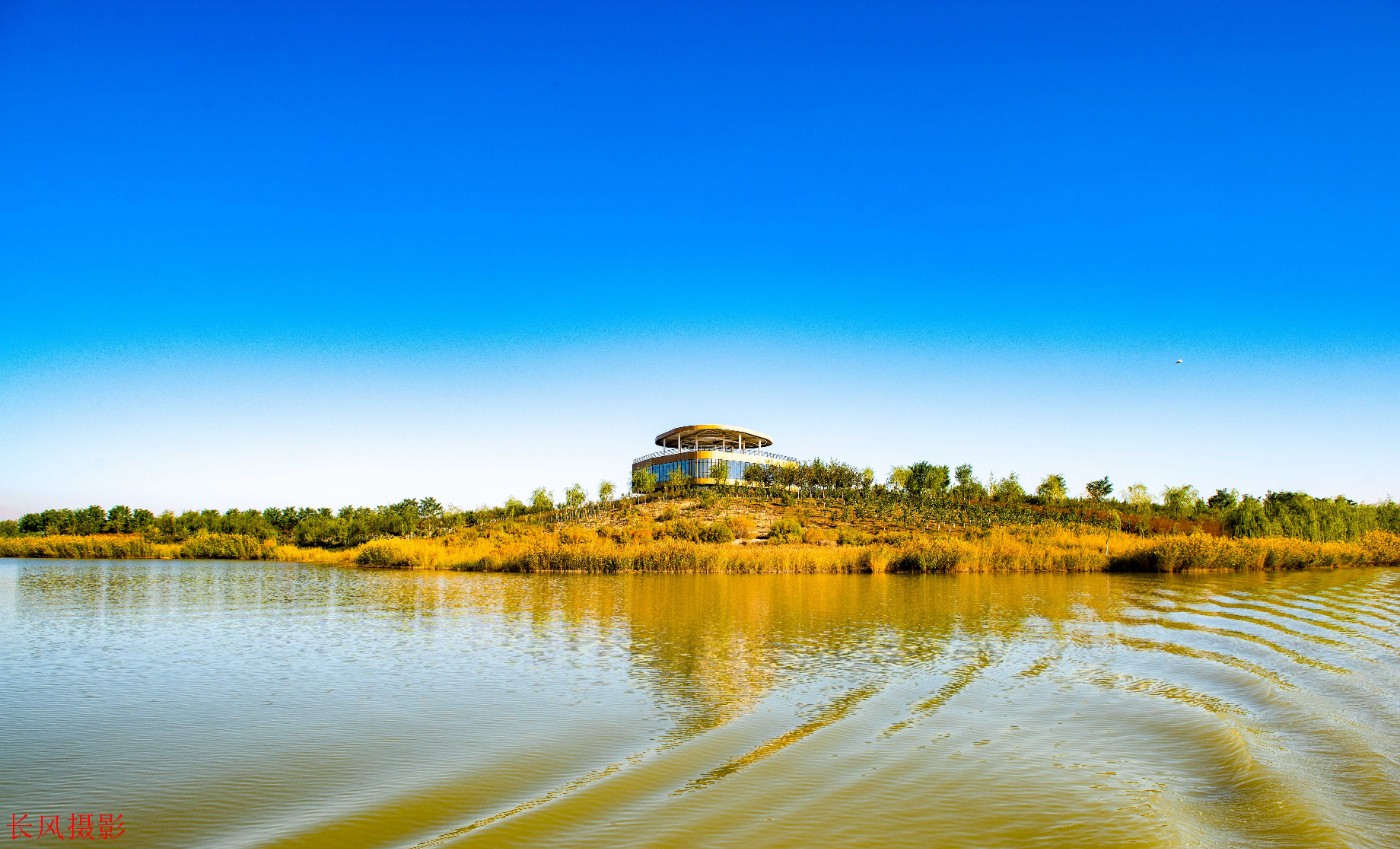 宁夏沙湖照片图片