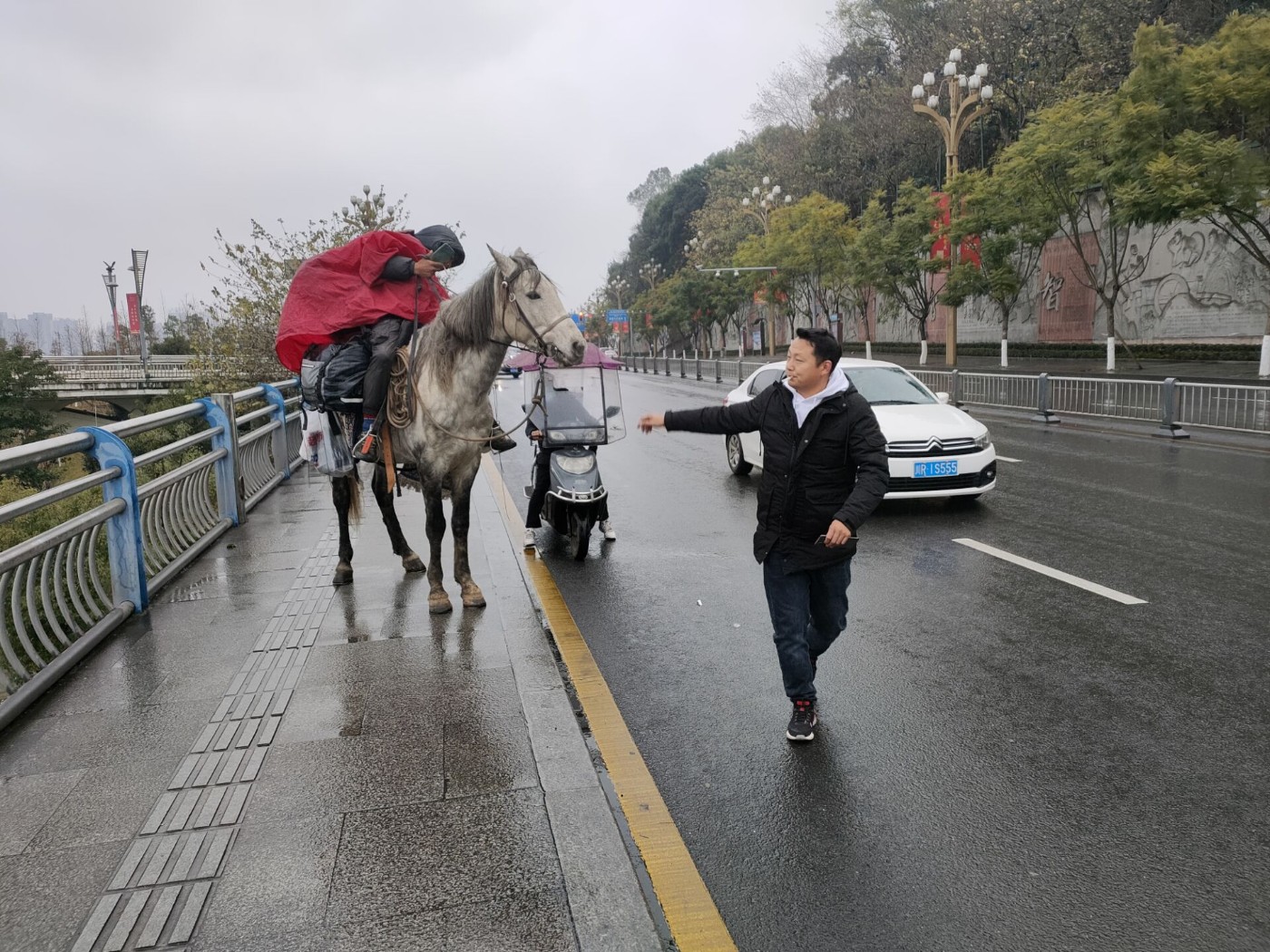 小伙子历经半年从新疆骑马回重庆今天路过南充