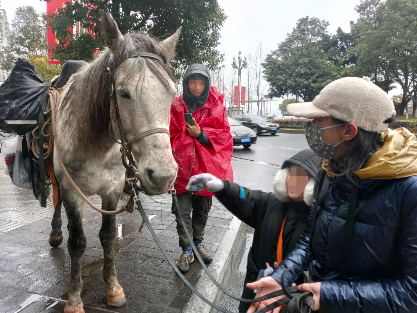 小伙子历经半年从新疆骑马回重庆今天路过南充