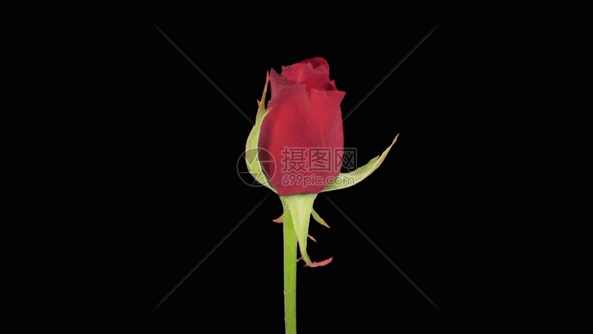 src=http___img95.699pic.com_photo_40139_2256.gif_wh860.gif&refer=http___img95..gif