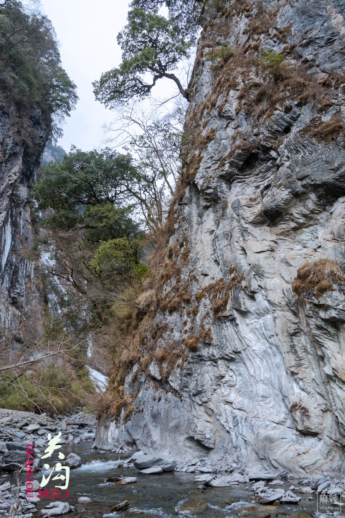 DSC_5974.JPG