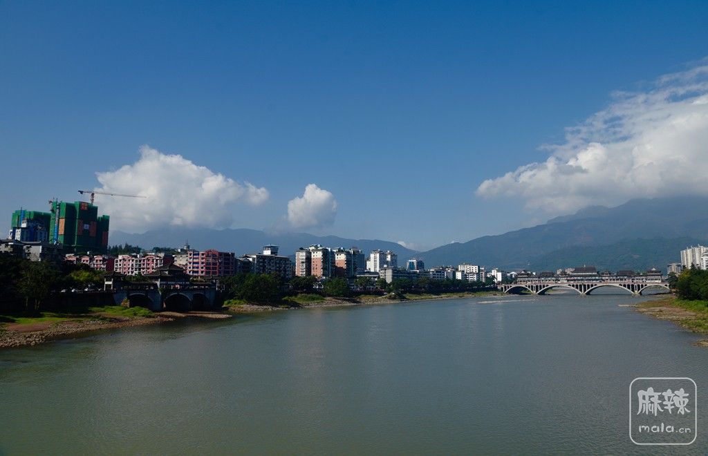 05.jpg