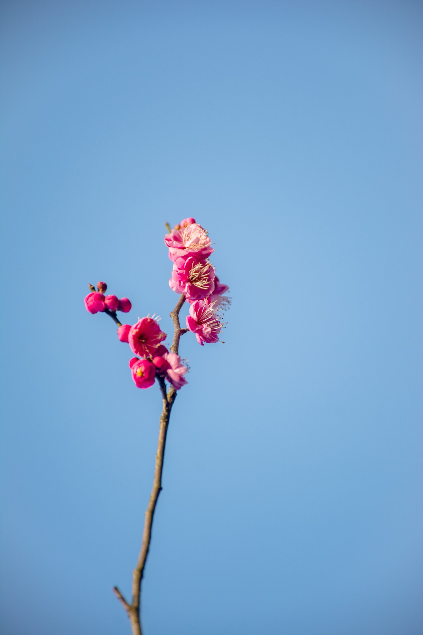 DSC_4041.jpg