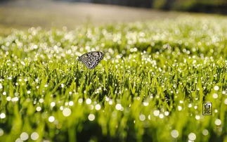 2ed19e78aa865f1734ad30583e9167f6.jpg