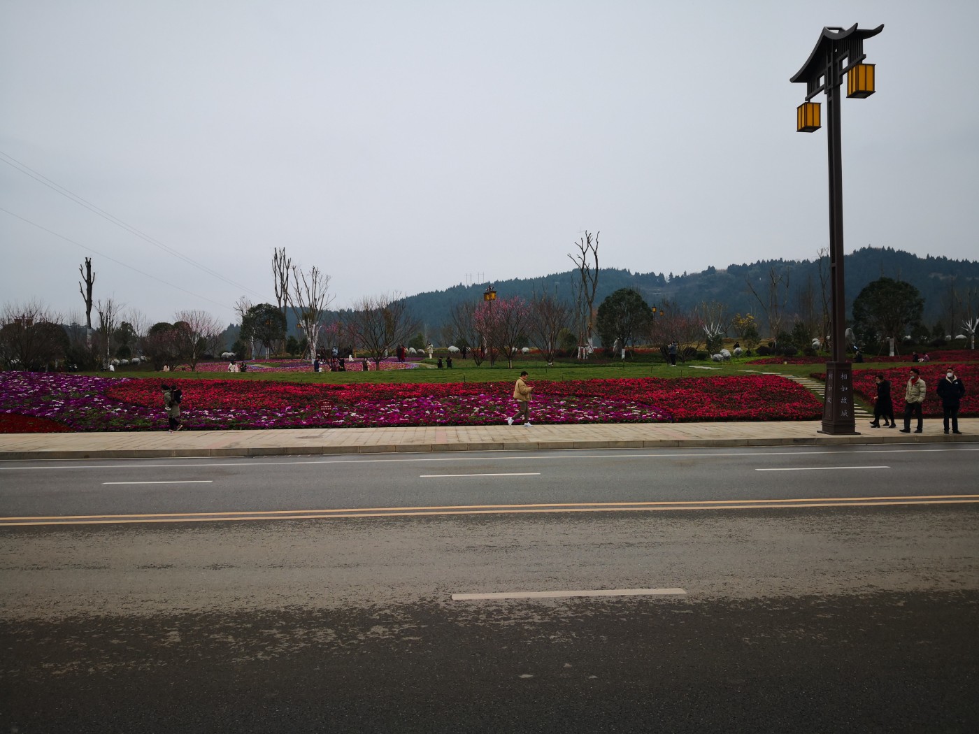 IMG_20220123_151704.jpg