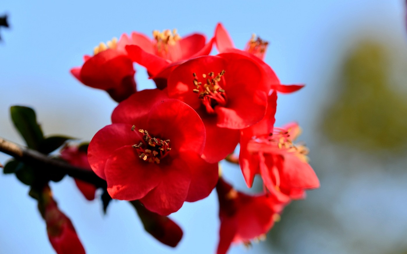 DSC_7171.JPG