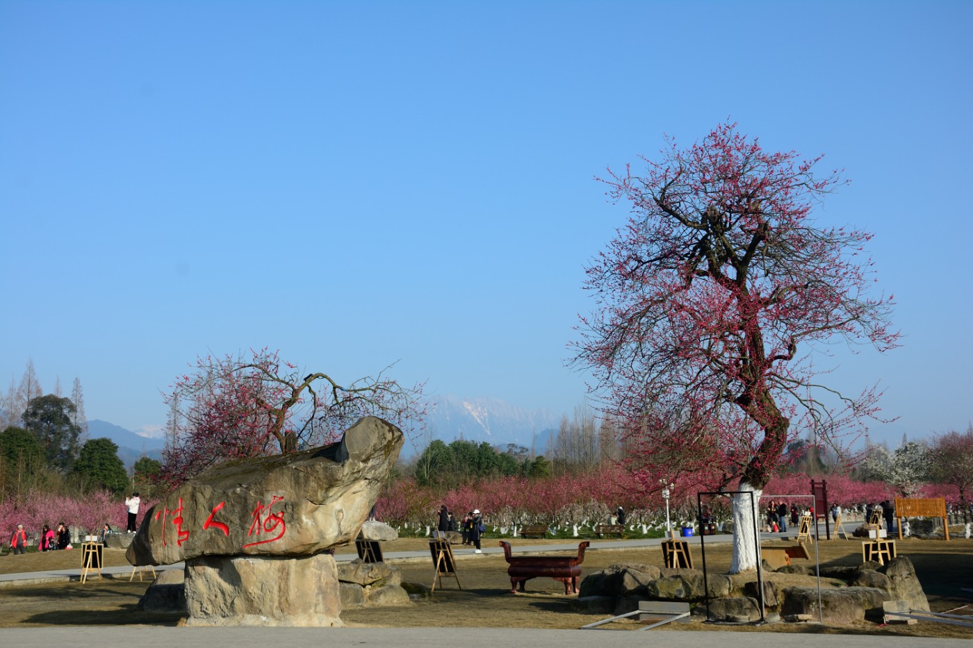 DSC_4557.JPG