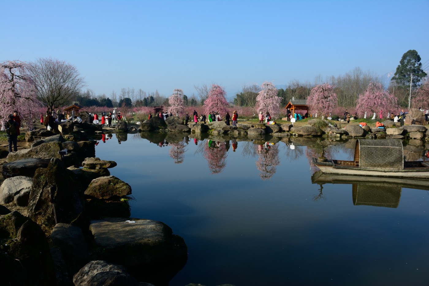 DSC_4581.JPG