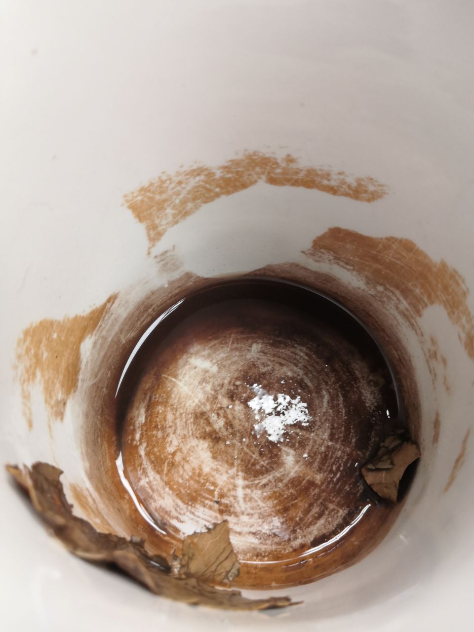 20220227211830front2_0_7767489_FnkKyZVUu4iCxmhLqGyCnM3maLAi.jpg