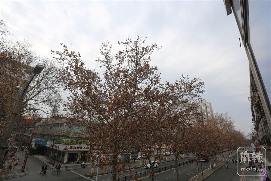 IMG_1962.JPG