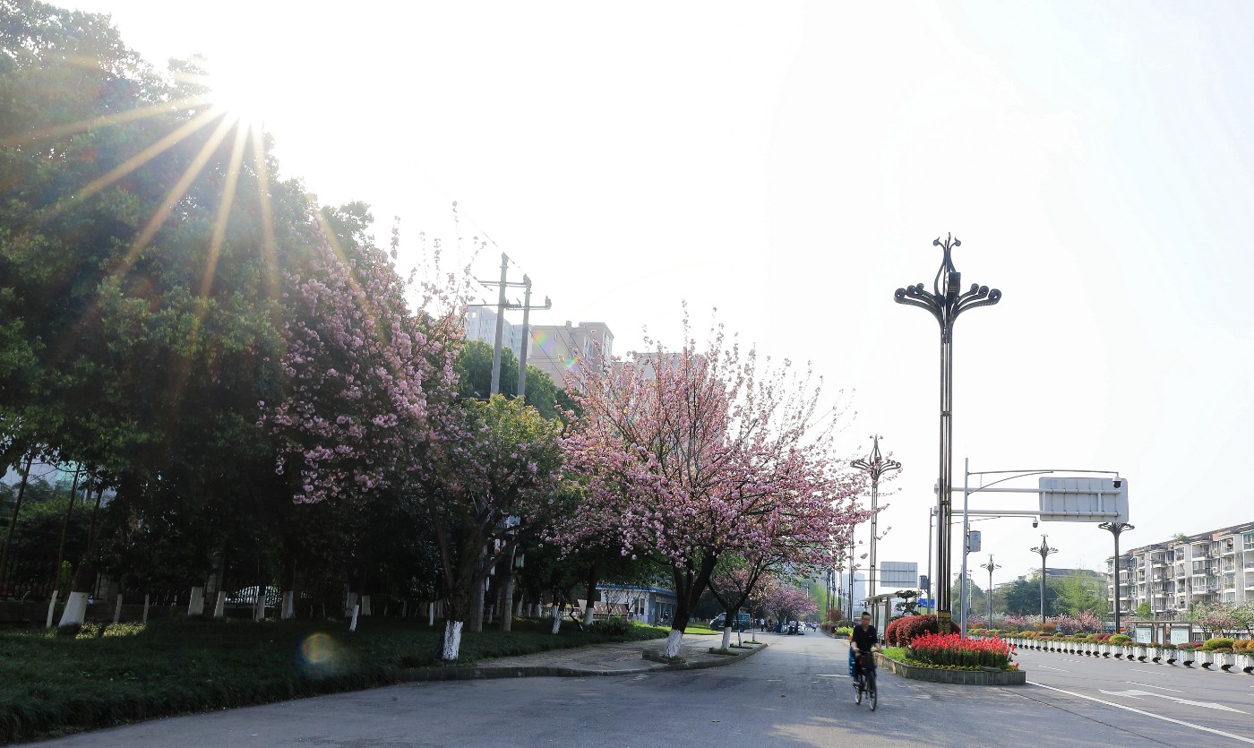 8R0A6724_.jpg