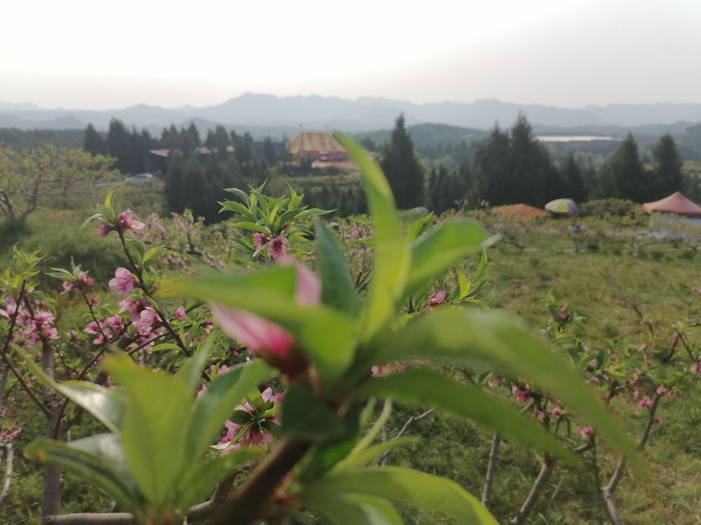 20220319163936front2_0_7772955_FhsxspVgiEH208x8Wtkb60IAyjpF.jpg