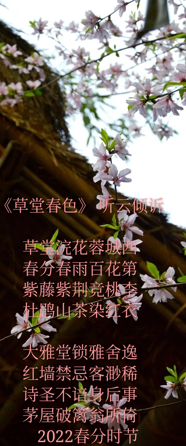115749w36mss4i315p2p5l.jpg