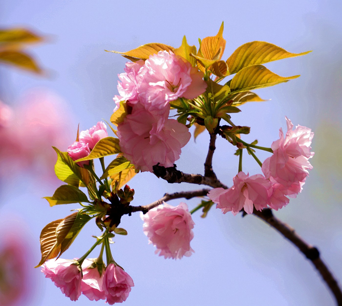 DSC07695_.jpg