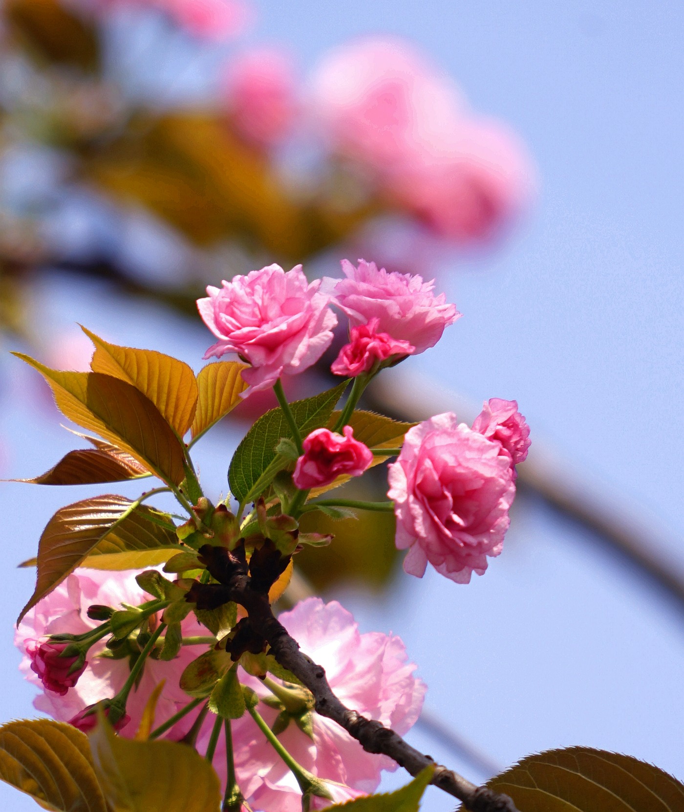 DSC07759_.jpg