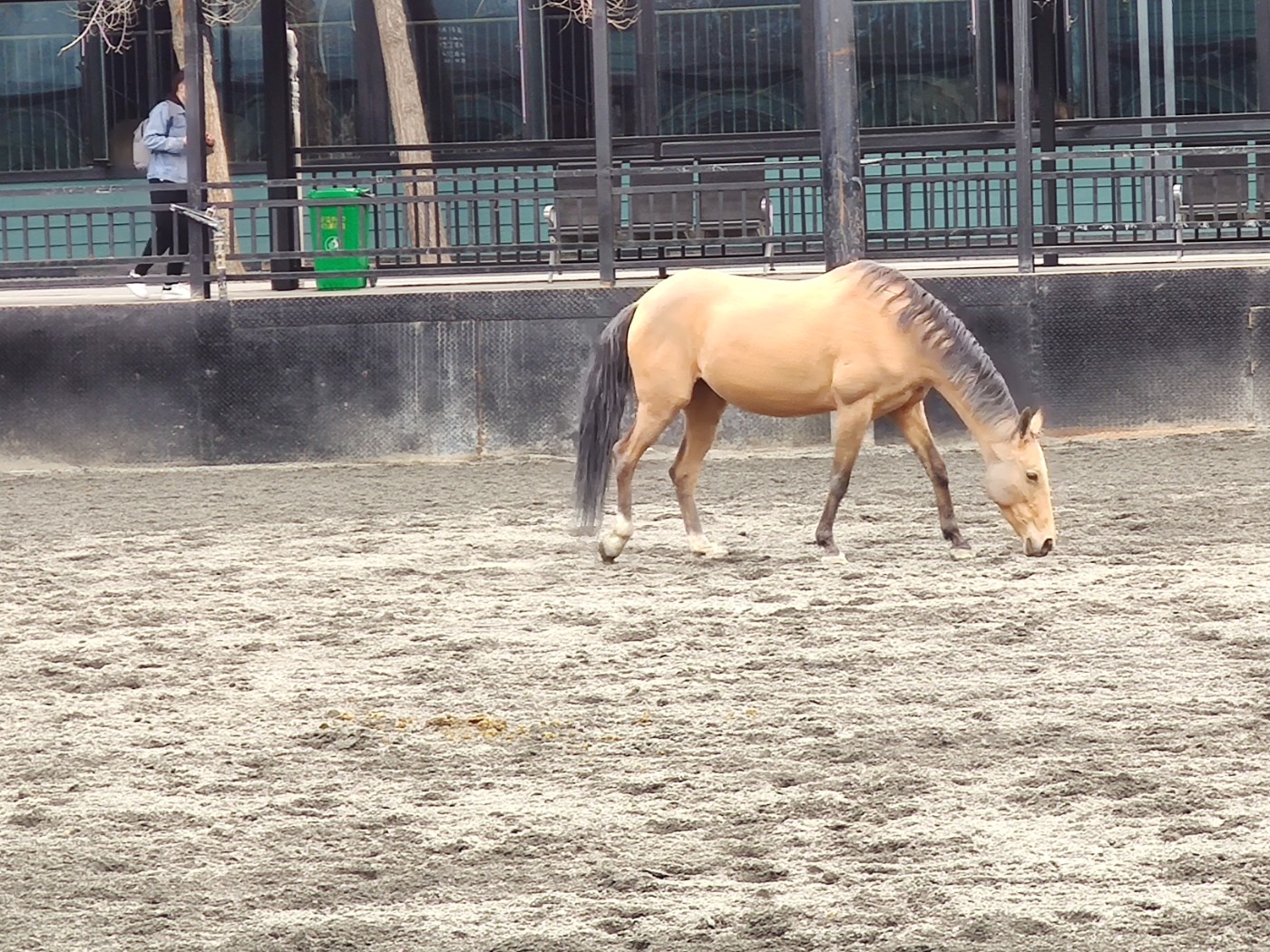 IMG_20220327_131036.jpg