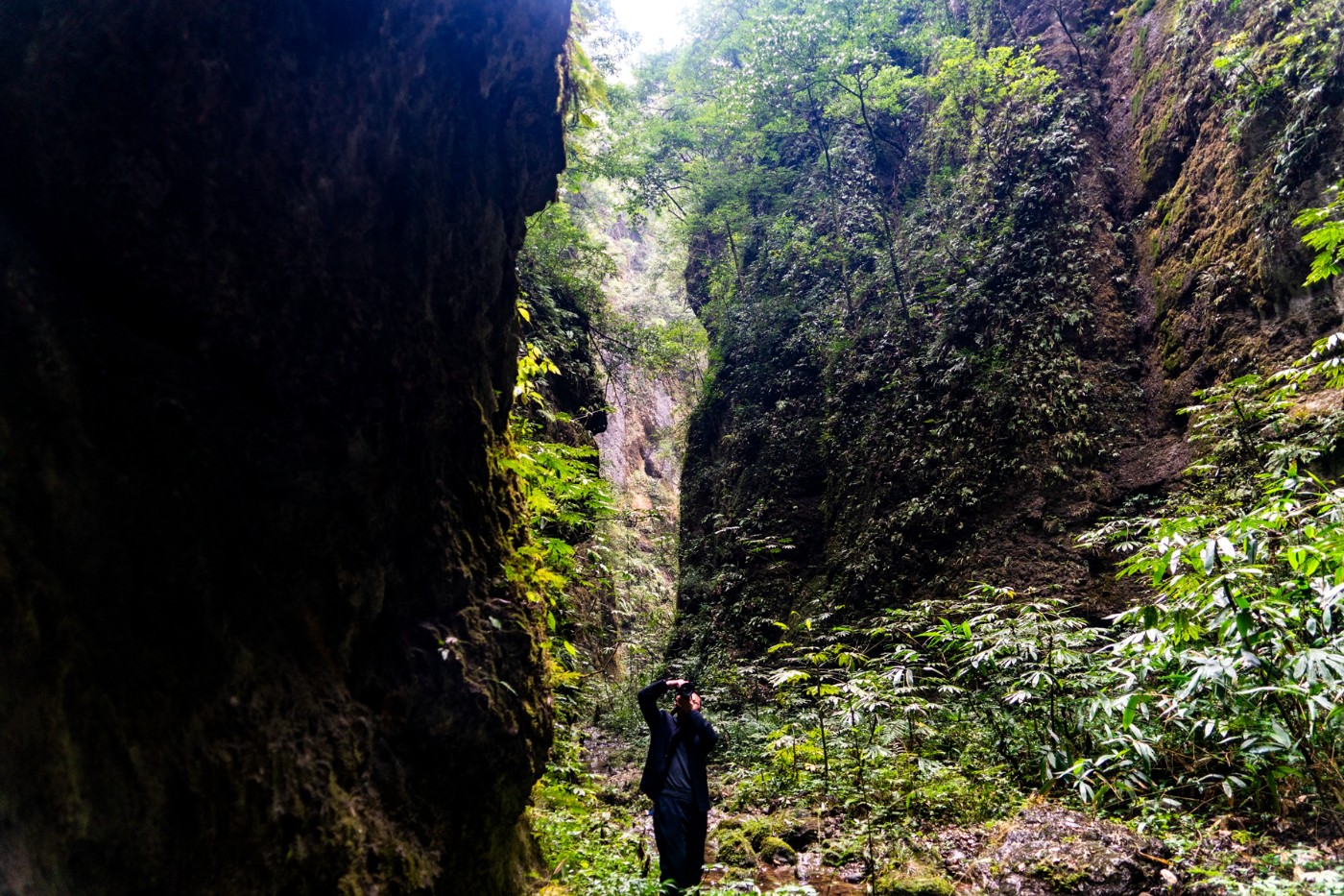 邛崃宝珠山图片