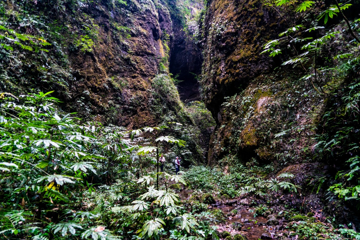 邛崃宝珠山图片